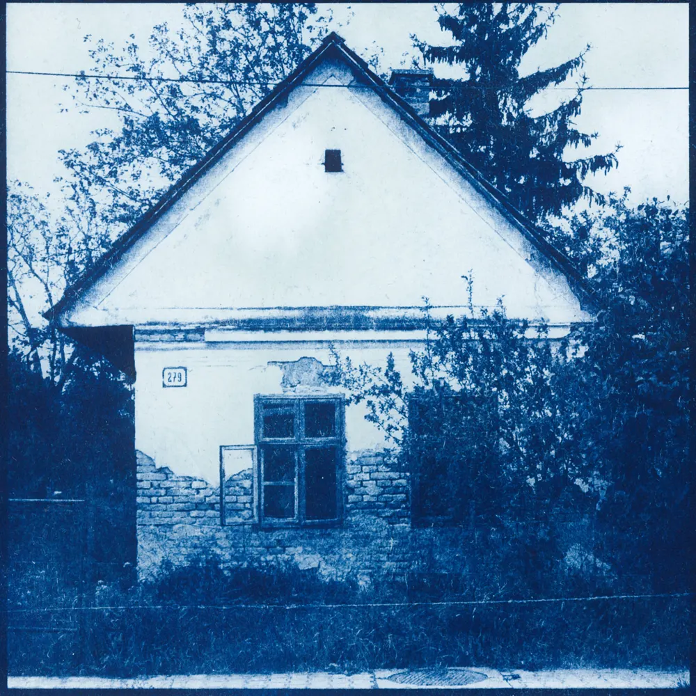 cyanotype — 2