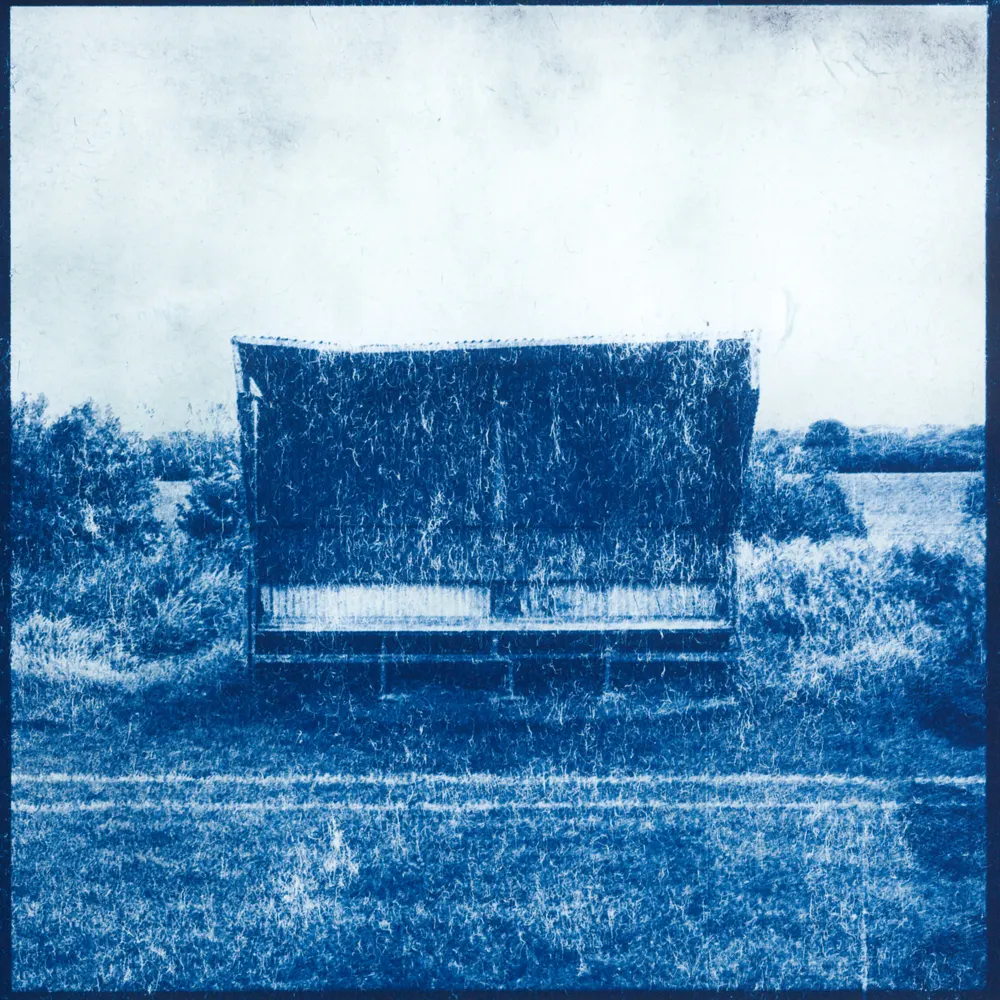 cyanotype — 3