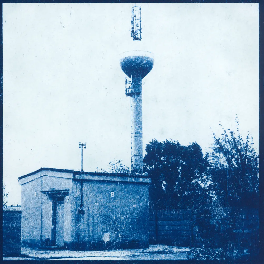 cyanotype — 4
