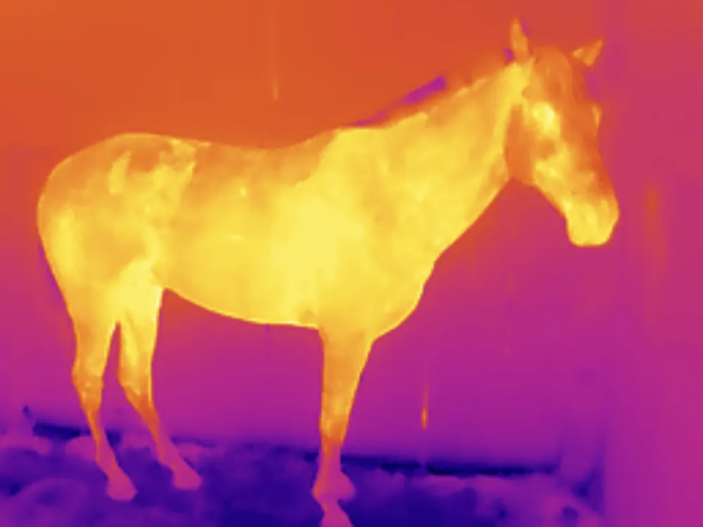 thermal vision — 2
