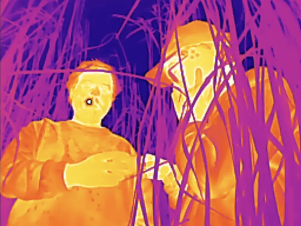 thermal vision — 4